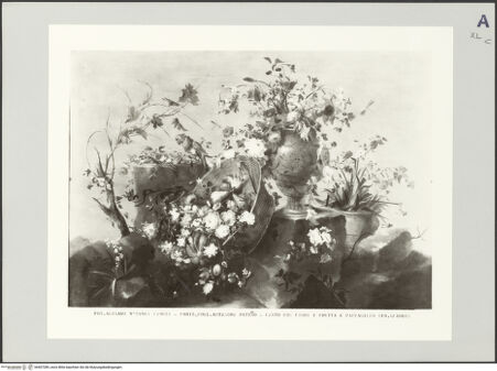 Vorderseite von bh507289_recto