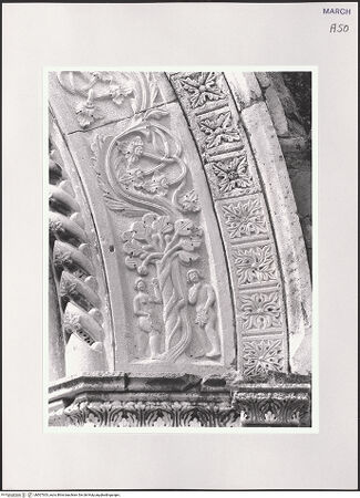 Vorderseite von bh507303_recto