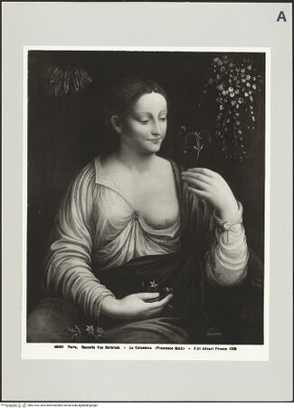 Vorderseite von bh507335_recto