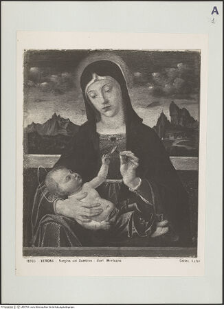 Vorderseite von bh507431_recto