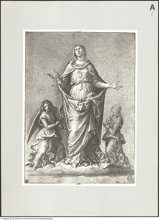 Vorderseite von bh507433_recto