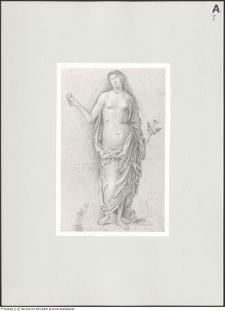 Vorderseite von bh507438_recto