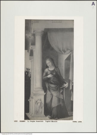 Vorderseite von bh507445_recto