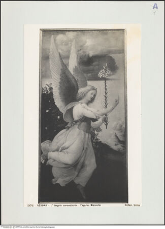 Vorderseite von bh507446_recto