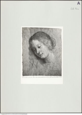 Vorderseite von bh507461_recto