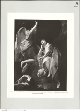 Vorderseite von bh507468_recto