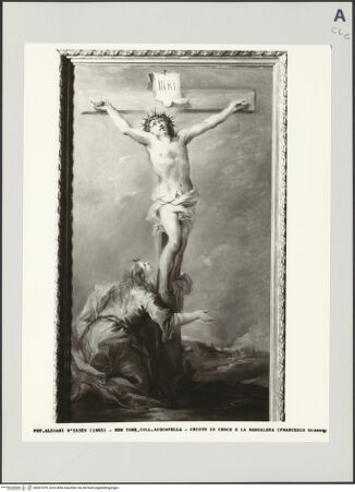 Vorderseite von bh507479_recto