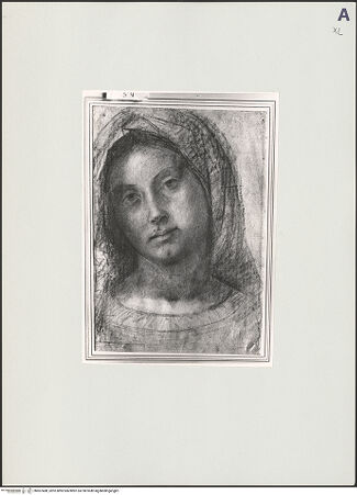 Vorderseite von bh507488_recto