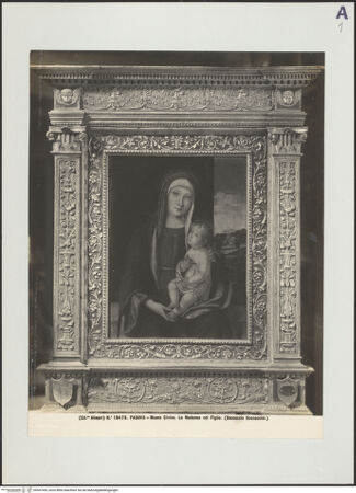 Vorderseite von bh507496_recto