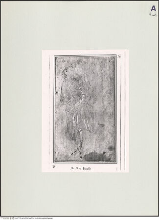 Vorderseite von bh507510_recto