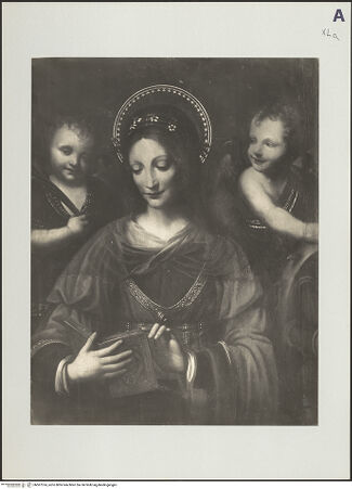 Vorderseite von bh507514_recto