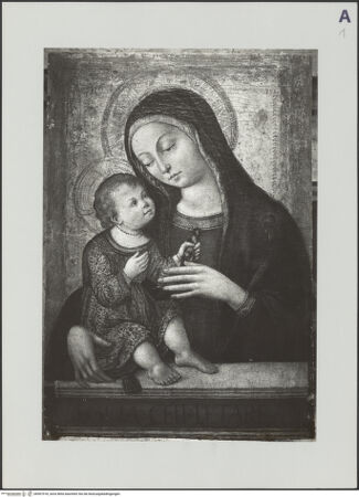 Vorderseite von bh507518_recto