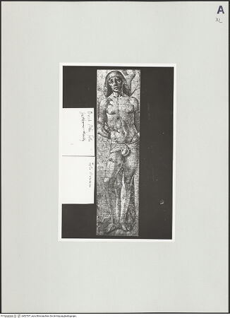 Vorderseite von bh507537_recto