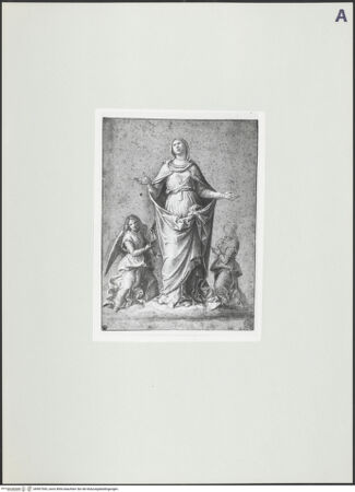 Vorderseite von bh507543_recto