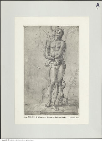 Vorderseite von bh507545_recto