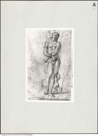 Vorderseite von bh507546_recto