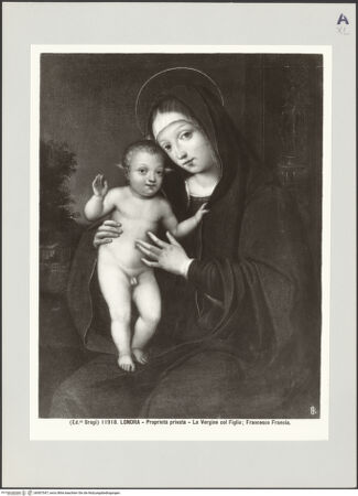 Vorderseite von bh507547_recto