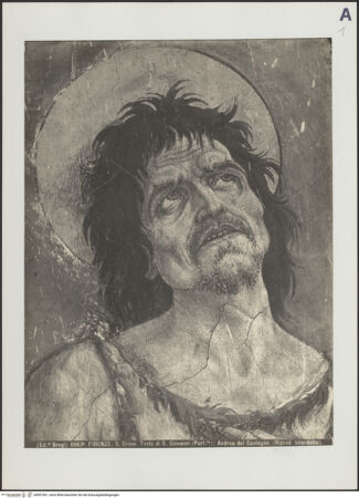 Vorderseite von bh507561_recto