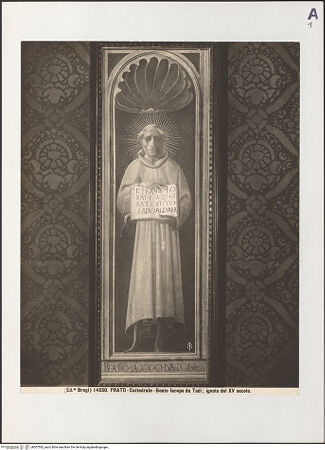 Vorderseite von bh507562_recto