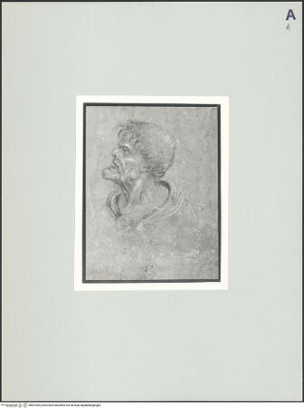 Vorderseite von bh507569_recto