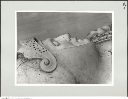 Vorderseite von bh507593_recto