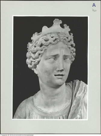 Vorderseite von bh507606_recto