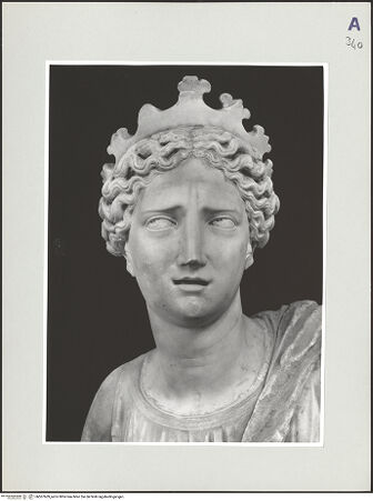 Vorderseite von bh507609_recto