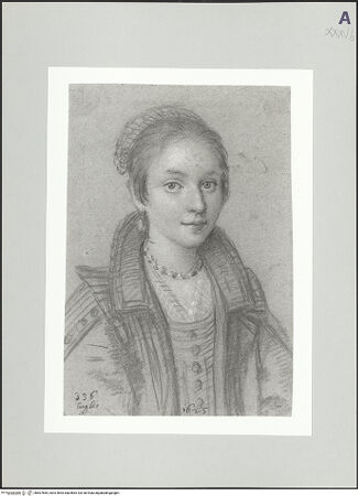 Vorderseite von bh507665_recto