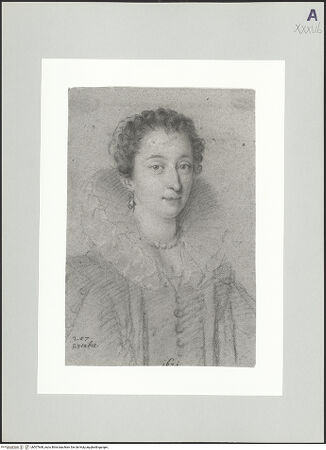 Vorderseite von bh507668_recto