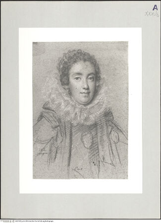 Vorderseite von bh507669_recto