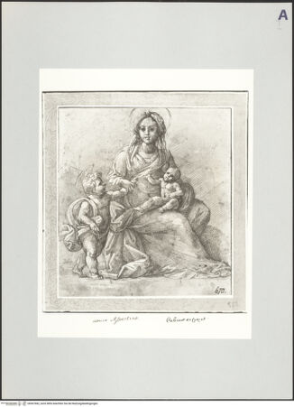 Vorderseite von bh507682_recto