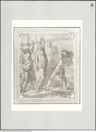 Vorderseite von bh507683_recto