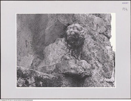 Vorderseite von Sopr. BAS NA [https://www.deutsche-digitale-bibliothek.de/content/lizenzen/rv-ez/] Löwe (Tragfigur aus einem Portal?) - Gesamtansicht von links, bh507751_recto. Foto.