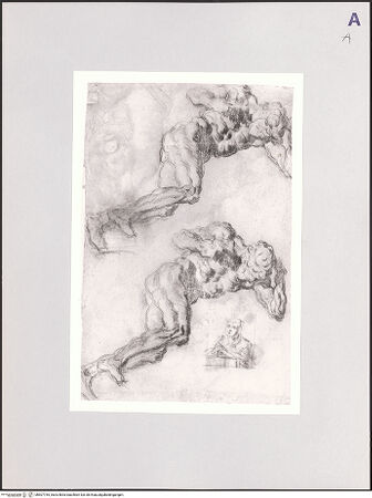 Vorderseite von bh507755_recto