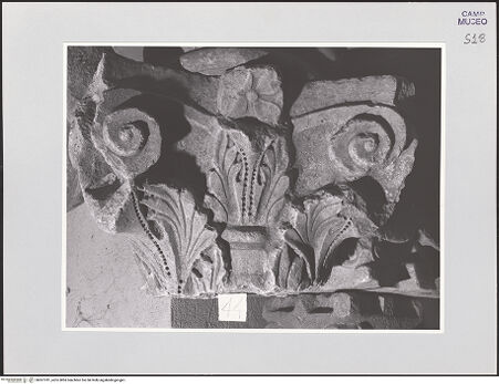 Vorderseite von Sopr. BAS NA [https://www.deutsche-digitale-bibliothek.de/content/lizenzen/rv-ez/] Blattkapitell - Frontalansicht, bh507781_recto. Foto.