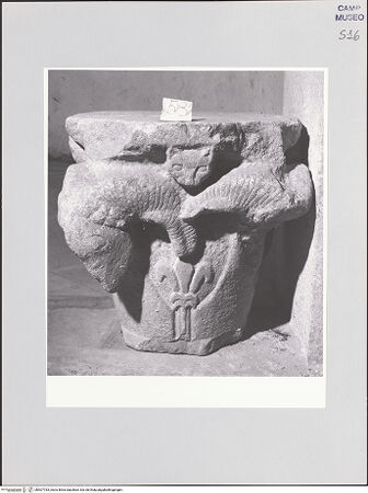 Vorderseite von Sopr. BAS NA [https://www.deutsche-digitale-bibliothek.de/content/lizenzen/rv-ez/] Kapitell mit Widderköpfen und Lilie - Frontalansicht, bh507783_recto. Foto.