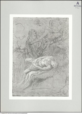 Vorderseite von bh507853_recto