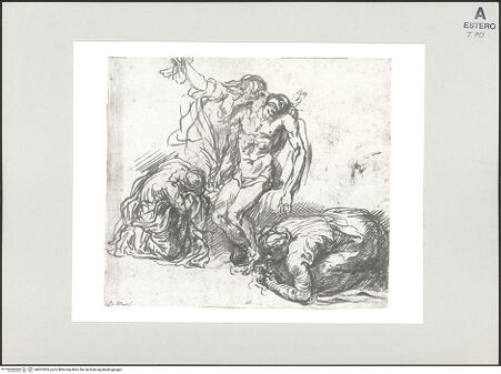 Vorderseite von bh507855_recto