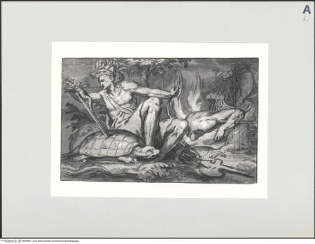 Vorderseite von bh508021_recto