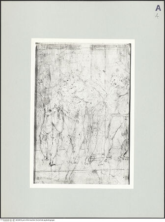 Vorderseite von bh508035_recto