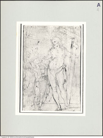 Vorderseite von bh508036_recto