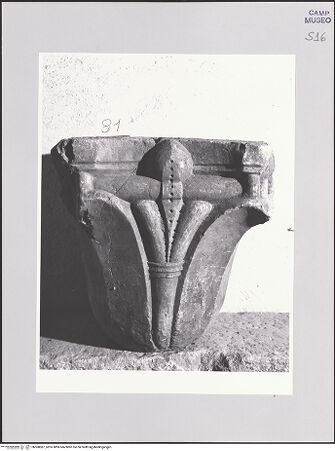 Vorderseite von Sopr. BAS NA [https://www.deutsche-digitale-bibliothek.de/content/lizenzen/rv-ez/] Kapitell mit Kopf und Lilie - Frontalansicht, bh508087_recto. Foto.