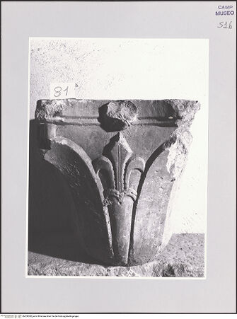 Vorderseite von Sopr. BAS NA [https://www.deutsche-digitale-bibliothek.de/content/lizenzen/rv-ez/] Kapitell mit Kopf und Lilie - Frontalansicht, bh508088_recto. Foto.