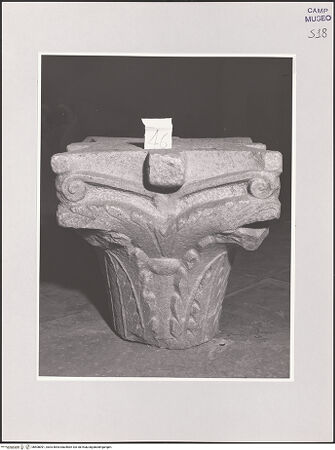 Vorderseite von Sopr. BAS NA [https://www.deutsche-digitale-bibliothek.de/content/lizenzen/rv-ez/] Blattkapitell - Frontalansicht, bh508091_recto. Foto.