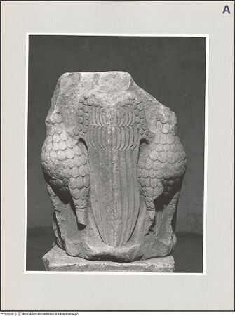 Vorderseite von bh508100_recto