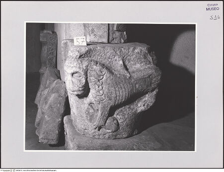 Vorderseite von Sopr. BAS NA [https://www.deutsche-digitale-bibliothek.de/content/lizenzen/rv-ez/] Kapitell mit Löwe und Mann mit Schwert - Löwe, bh508101_recto. Foto.