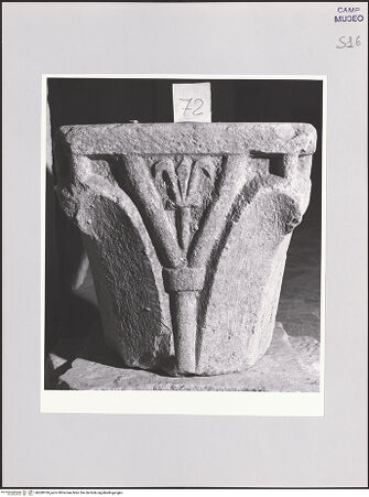 Vorderseite von Sopr. BAS NA [https://www.deutsche-digitale-bibliothek.de/content/lizenzen/rv-ez/] Kapitell mit Kopf und Lilie - Frontalansicht, bh508109_recto. Foto.