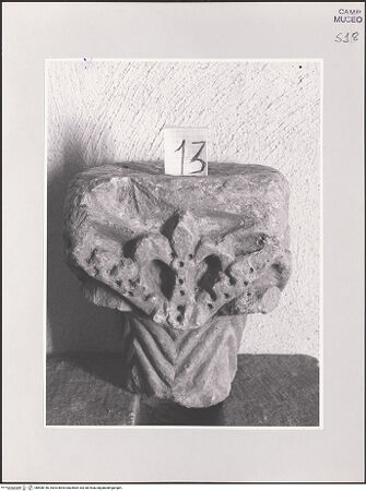 Vorderseite von Sopr. BAS NA [https://www.deutsche-digitale-bibliothek.de/content/lizenzen/rv-fz/] Kapitell mit Lilie - , bh508146_recto. Foto.