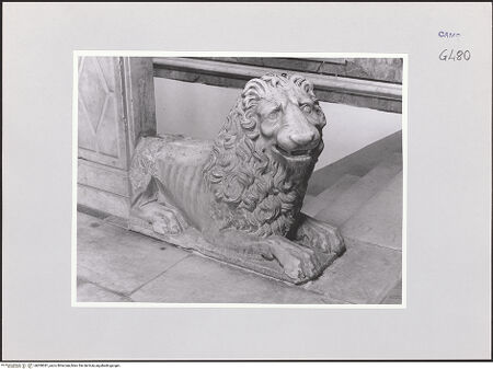 Vorderseite von Courtauld Institute of Art [https://www.deutsche-digitale-bibliothek.de/content/lizenzen/rv-ez/] Löwe - Seitenansicht von links, bh508381_recto. Foto.