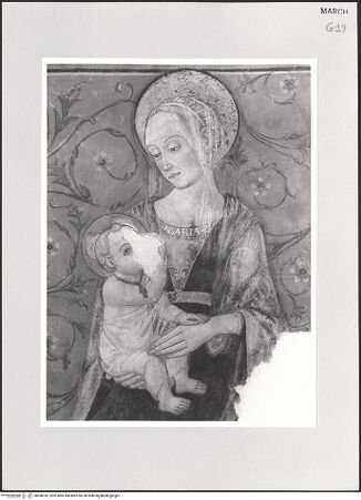 Vorderseite von bh508399_recto